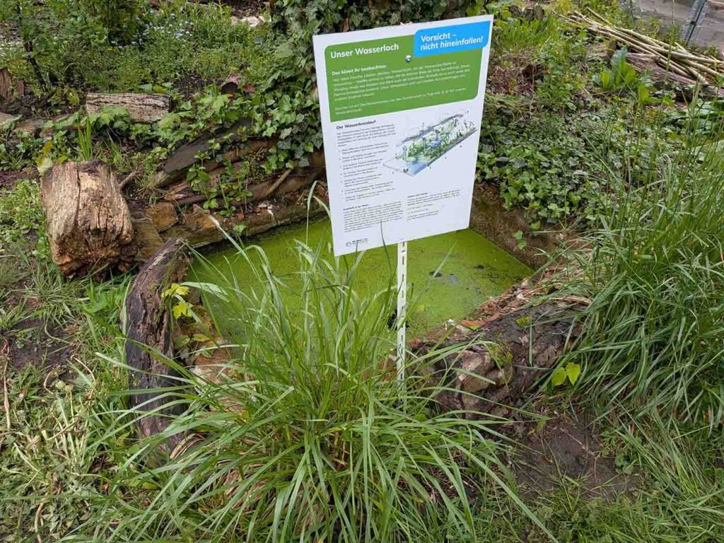 Wasserloch mit Infotafel zum Wasserkreislauf im Klimagarten Findorff