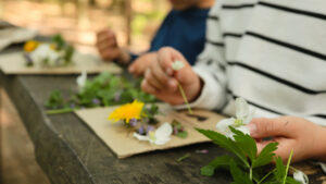 Kinder legen Blüten und Blätter auf Pappe und gestalten daraus Naturbilder.