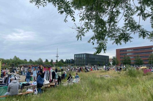 Besucherinnen und Besucher stöbern auf dem Flohmarkt auf der Überseewiese in der Bremer Überseestadt.