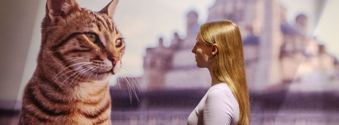 Kult Katze: Leitmotiv der Sonderausstellung im Übersee-Museum Bremen