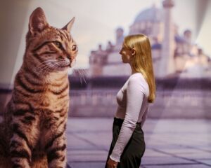 Kult Katze: Leitmotiv der Sonderausstellung im Übersee-Museum Bremen