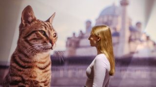 „Kult Katze!“ im Übersee-Museum: Auf den Spuren einer besonderen Beziehung