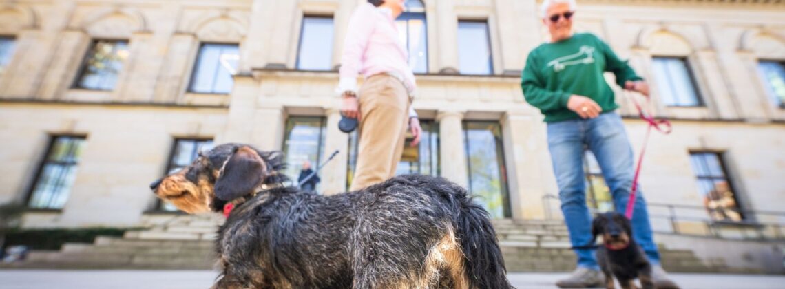 Kunsthalle Bremen: Dackel und Menschen vor dem Gebäude