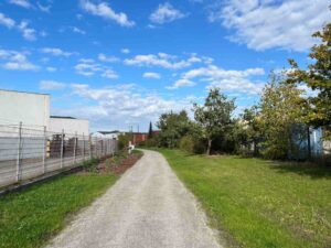 Ein Spazierweg mit Blick auf Bäume und das Gewerbegebiet Riedemannstraße