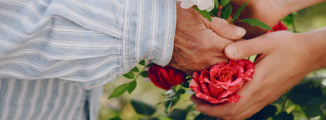 Hände einer älteren Person werden von Händen einer jüngeren Person gehalten und zusammen umfassen sie eine Rose, Symbolbild für Sterbebegleitung
