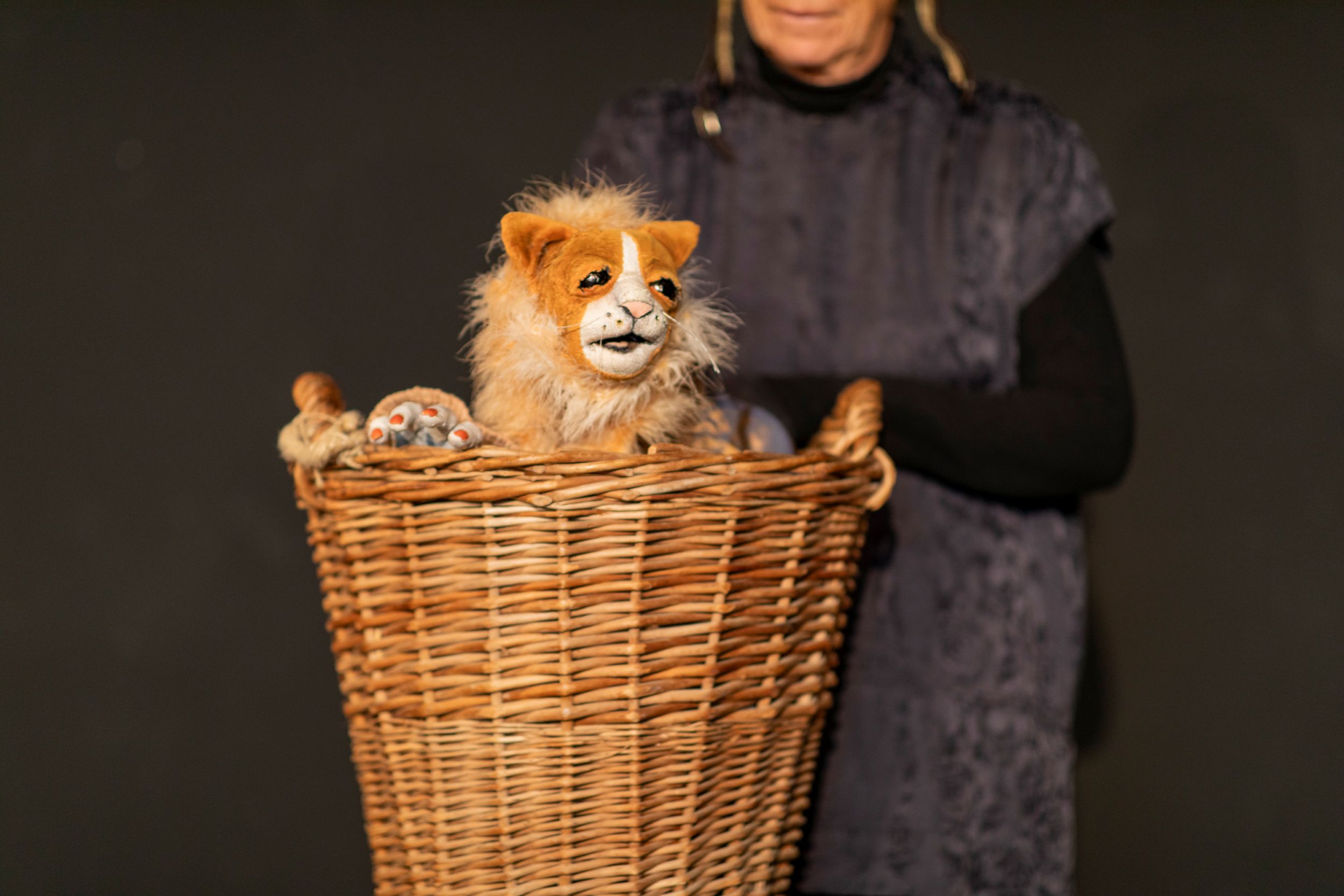 Ulrike Andersen – Etwas Besseres als den Tod…