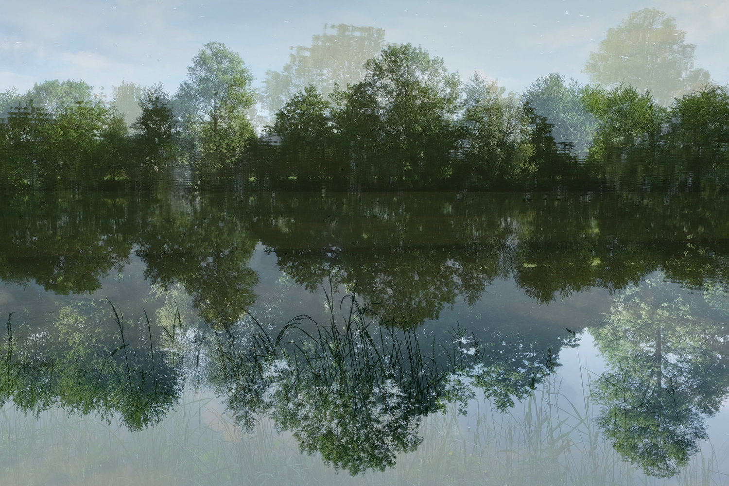 Wasser Welten (Finissage)