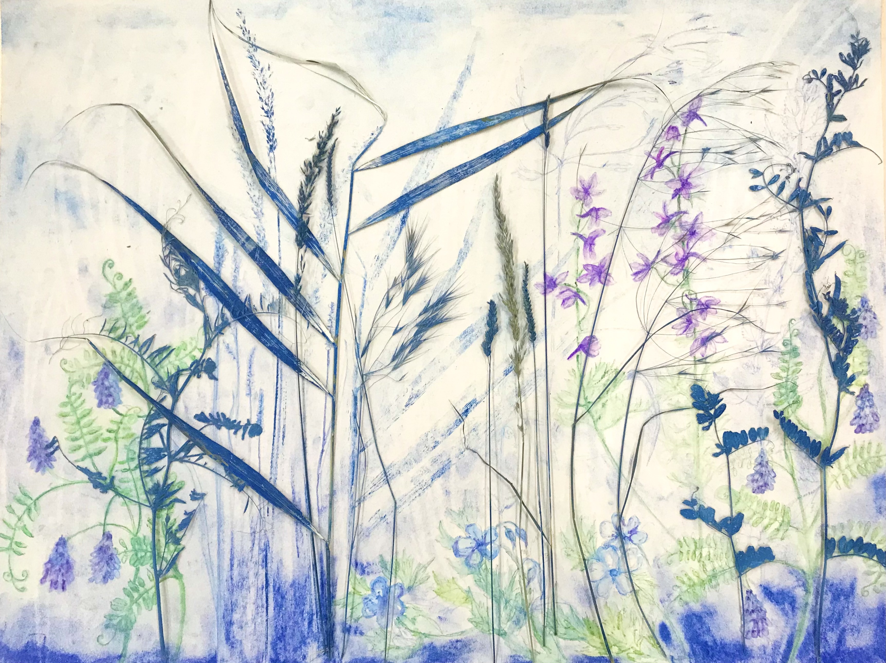 Akkela Dienstbier – Minima Natura