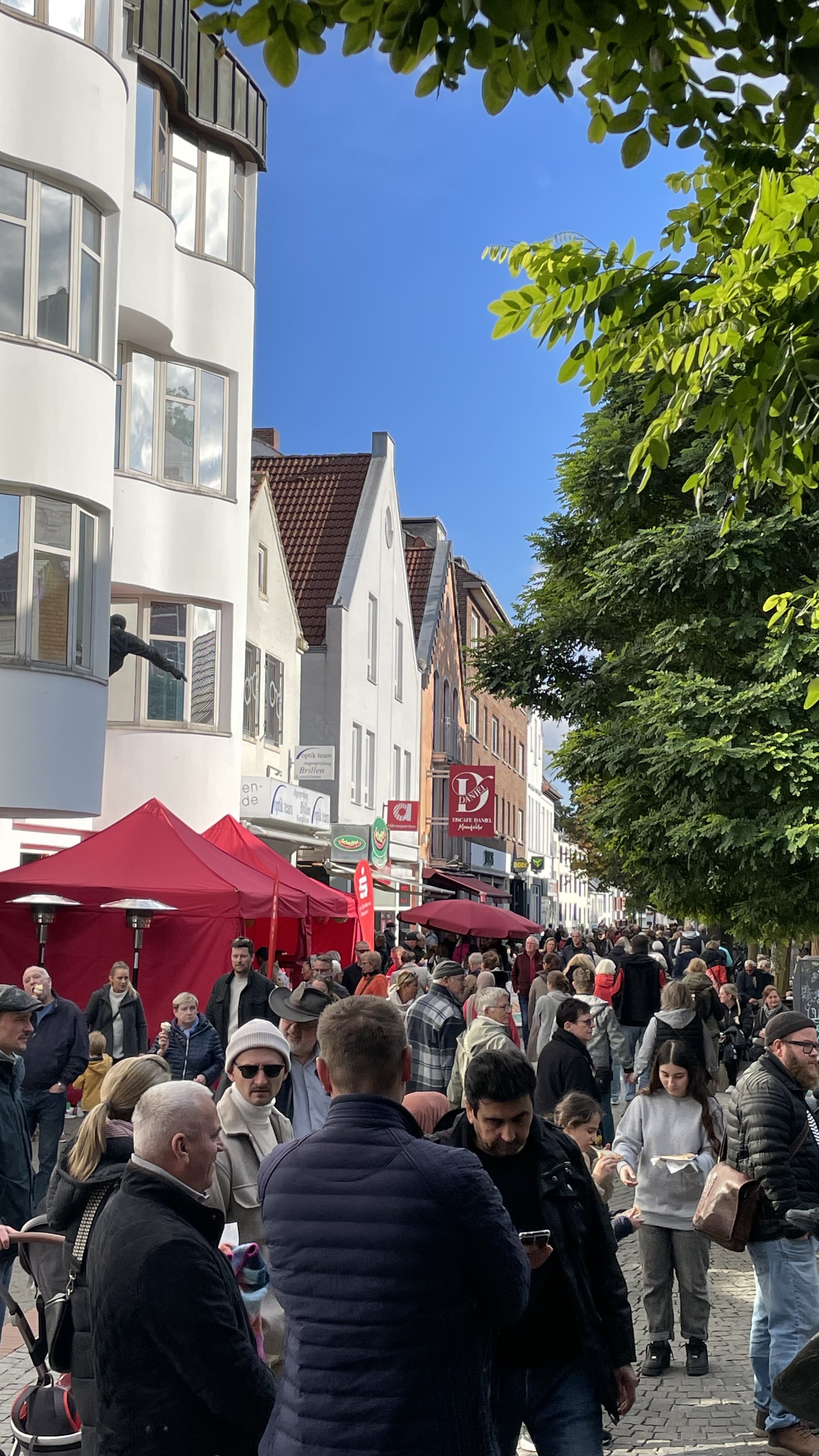 Vegefest